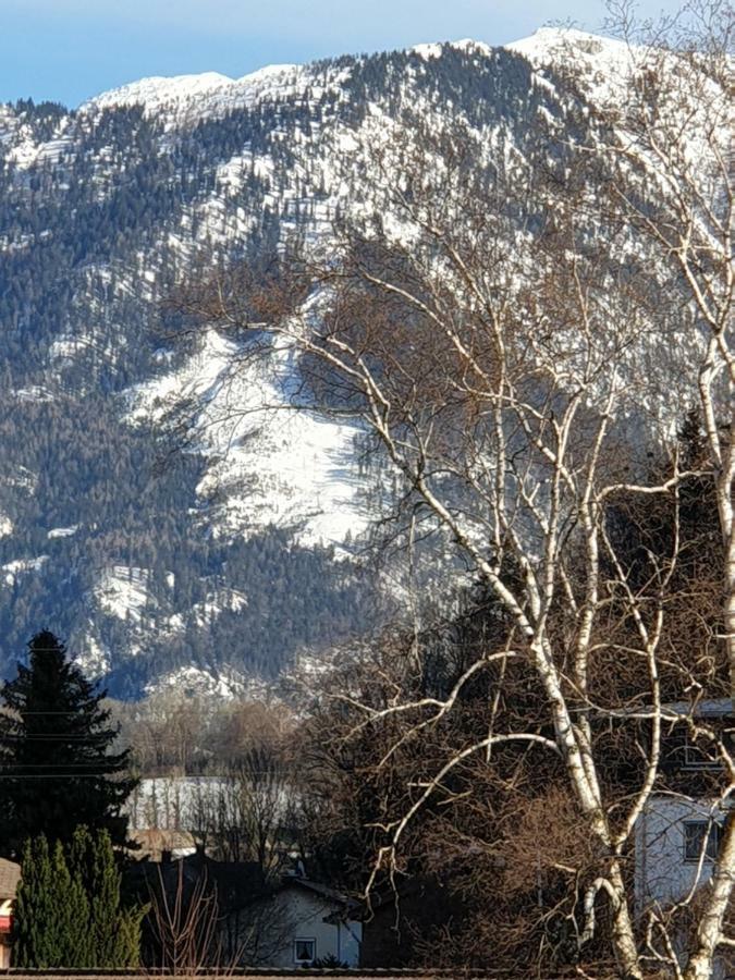 Birke 1 Apartamento Bad Reichenhall Exterior foto