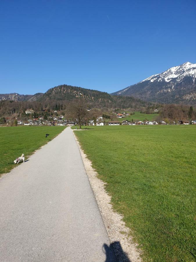 Birke 1 Apartamento Bad Reichenhall Exterior foto